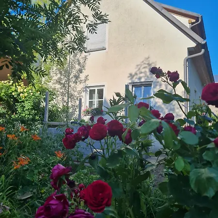 Ferienhaus Blumenstock *