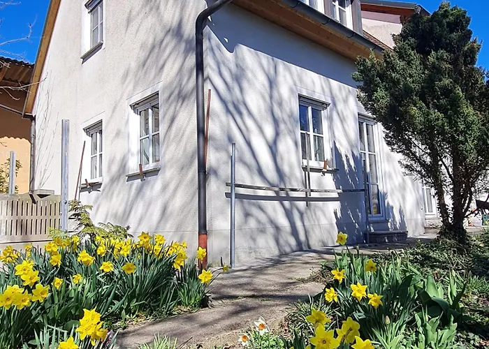 Blumenstock * Штайнсфельд